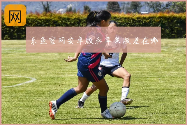 乐鱼官网安卓版和苹果版差在哪